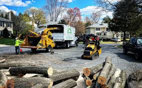 Best Storm Damage Tree Cleanup  in Pearl Beach, MI